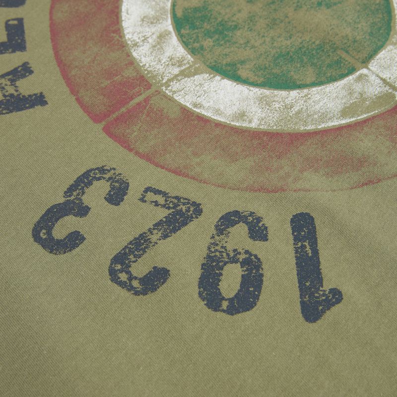 Vyriški marškinėliai Aeronautica Militare TS2538UJ00727 lichen green 3