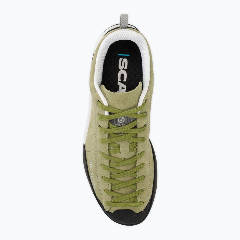 Žygio batai SCARPA Mojito aloe 6