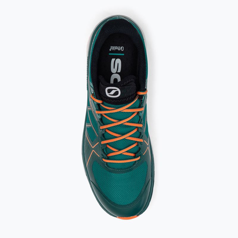SCARPA Spin Infinity GTX vyriški bėgimo bateliai blue 33075-201/4 7
