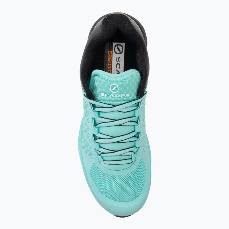 SCARPA Spin Ultra moteriški bėgimo bateliai blue/black 33069 6