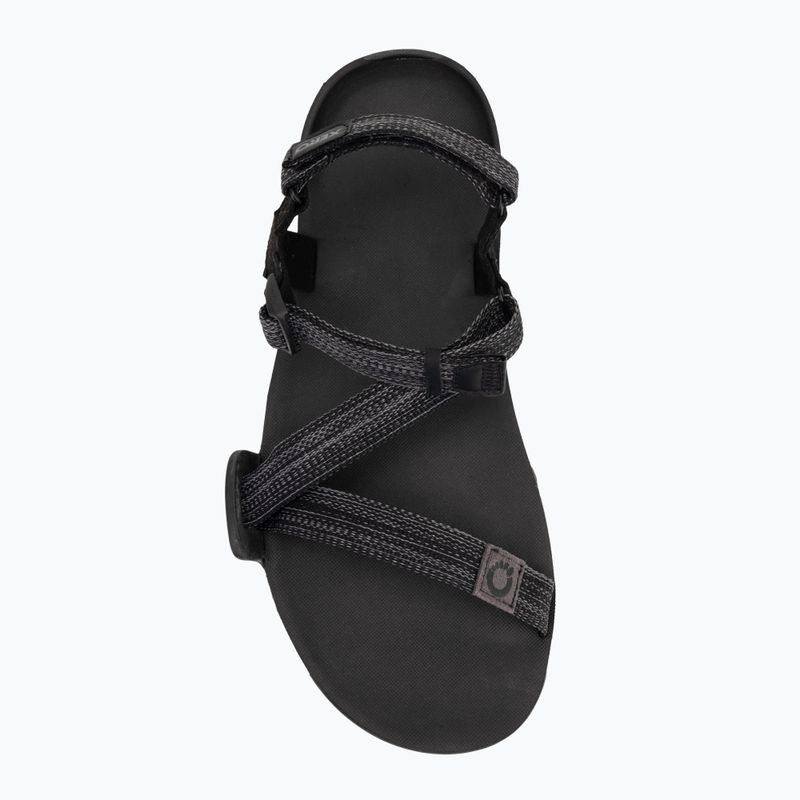 Vyriški barefoot sandalai Xero Shoes Z-Trail EV multi / black 5