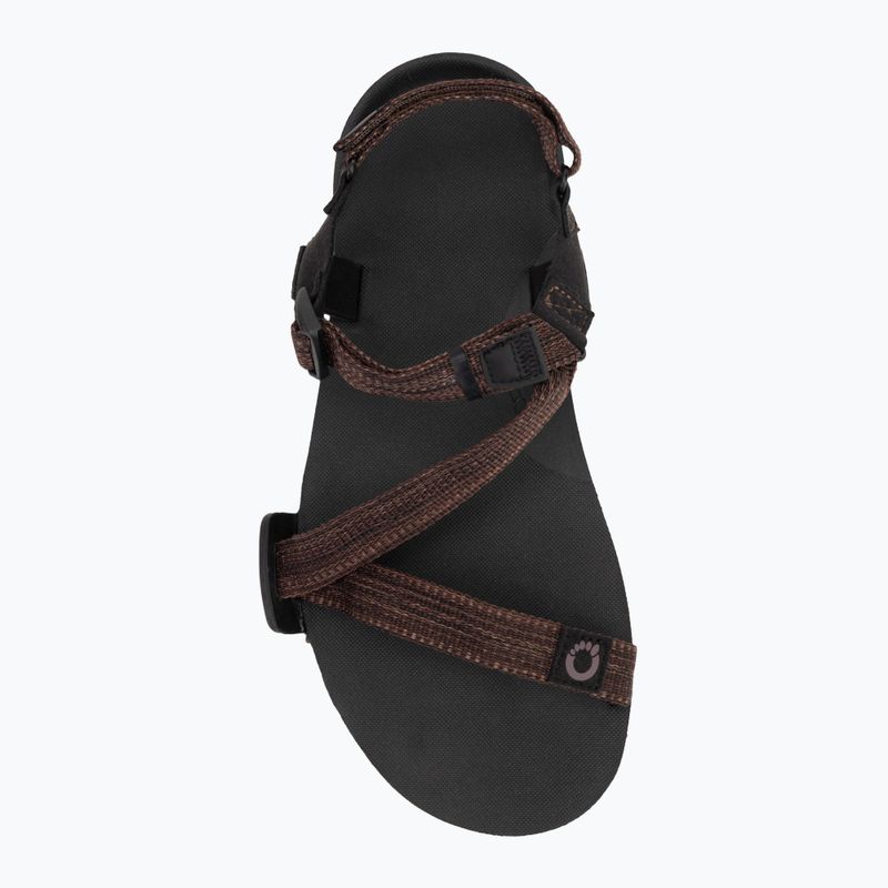 Vyriški barefoot sandalai Xero Shoes Z-Trail EV multi / brown 5