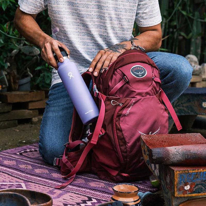 Hydro Flask Standard Flex Straw terminis butelis 620 ml, violetinės spalvos S21FS474 6