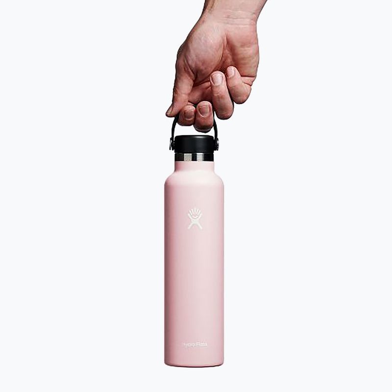 Terminis butelis Hydro Flask Standard Flex Cap 709 ml trillium 5