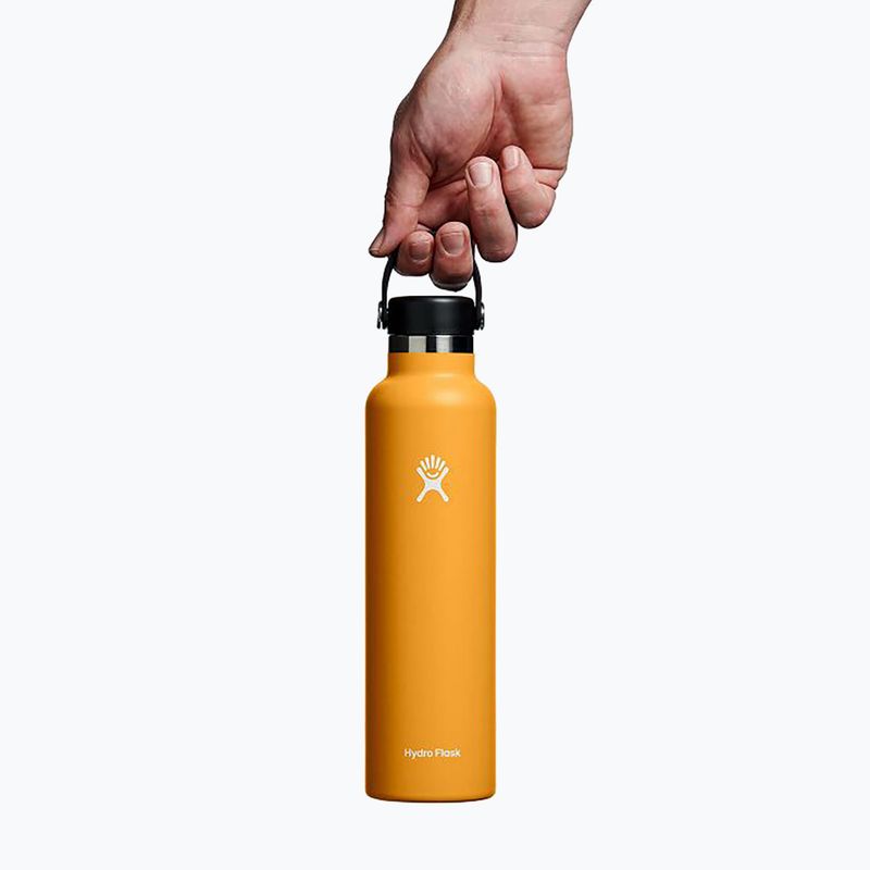 "Hydro Flask Standard Flex Cap" terminis buteliukas 710 ml iškastinis 3