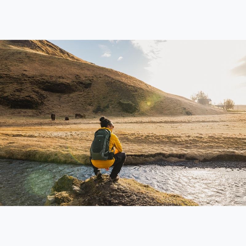 Vyriška turistinė kuprinė Osprey Talon 22 l green canopy / pine leaf 8