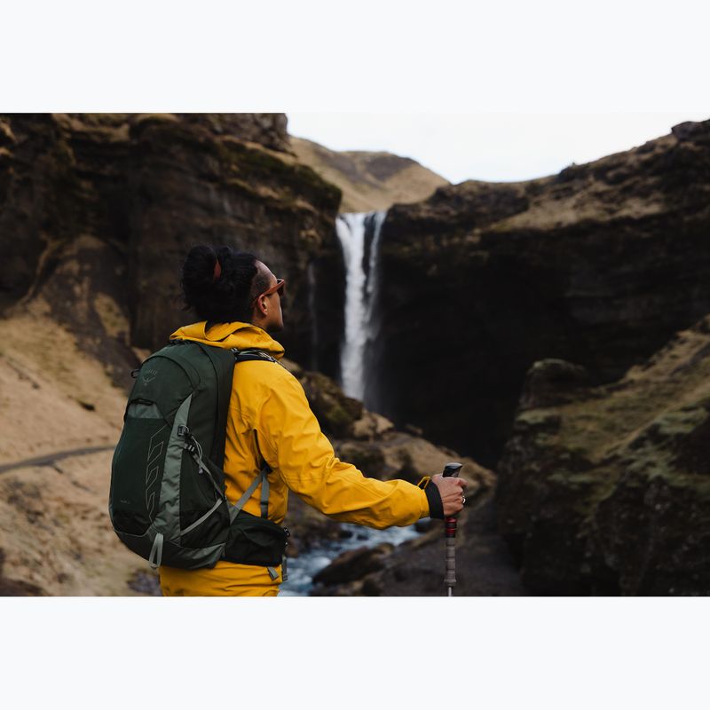 Vyriška turistinė kuprinė Osprey Talon 22 l green canopy / pine leaf 10