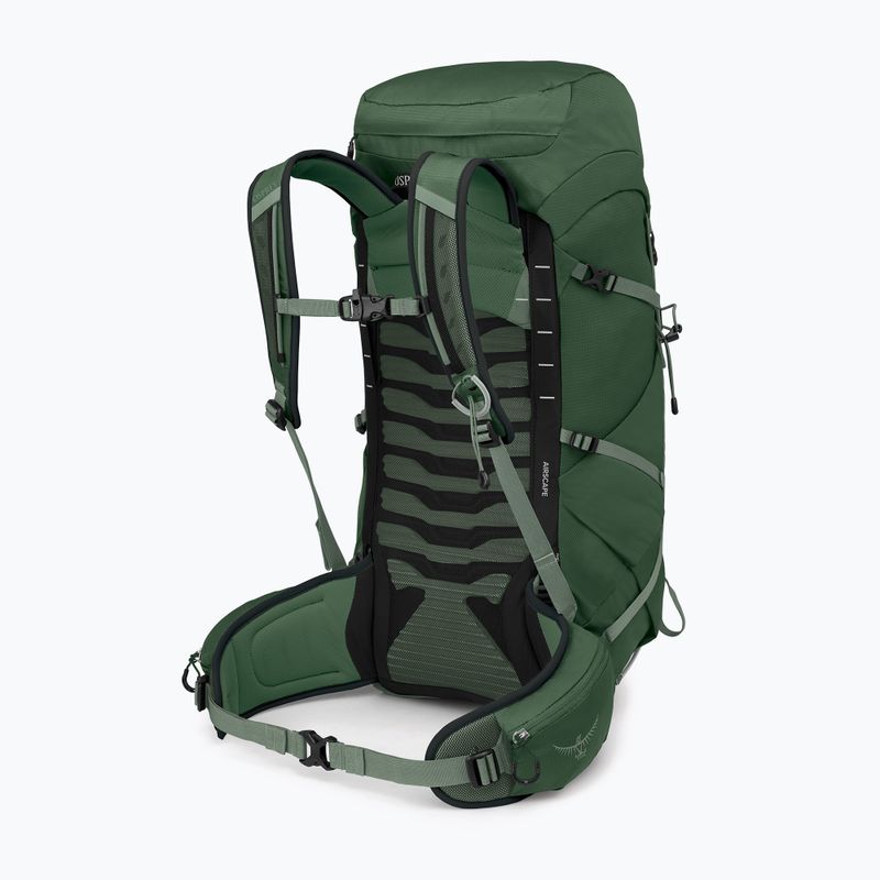 Vyriška turistinė kuprinė Osprey Talon 33 l green canopy/ pine leaf 2