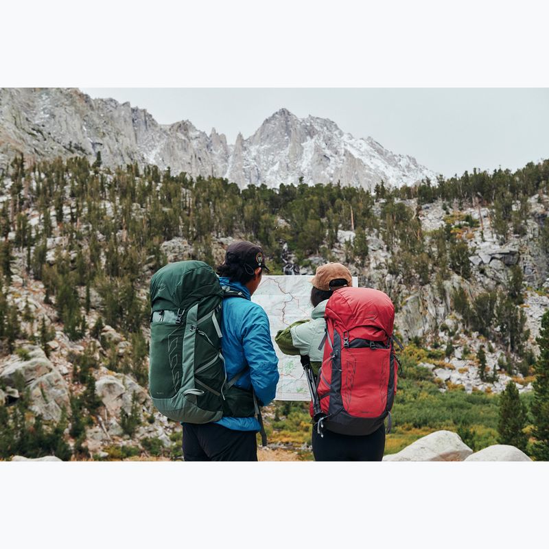 Vyriška turistinė kuprinė Osprey Talon 33 l green canopy/ pine leaf 17