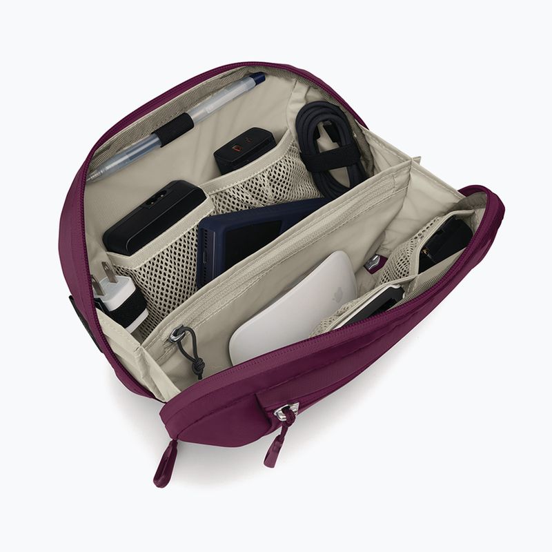 Kosmetinė Osprey Ozone Powerhouse moody burgundy 4