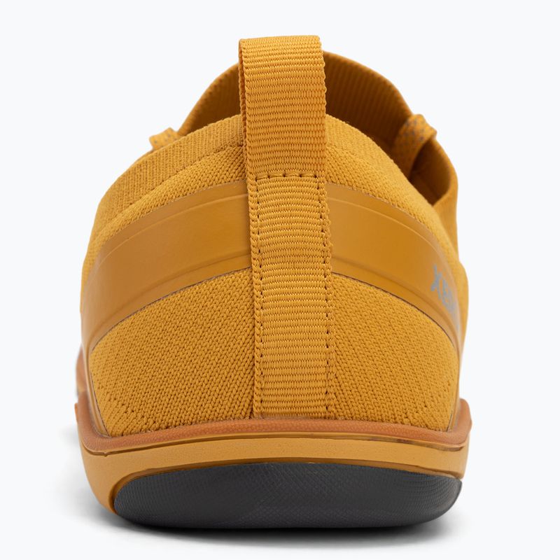 Vyriški barefoot batai Xero Shoes Nexus Knit gold 6