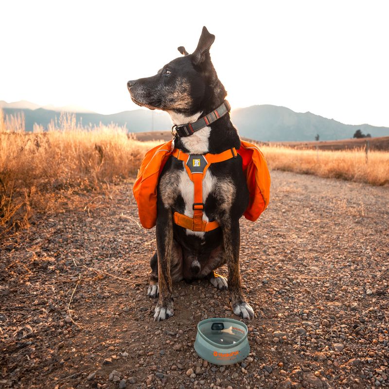 Šuns dubenėlis HydraPak Rover sutro green 4