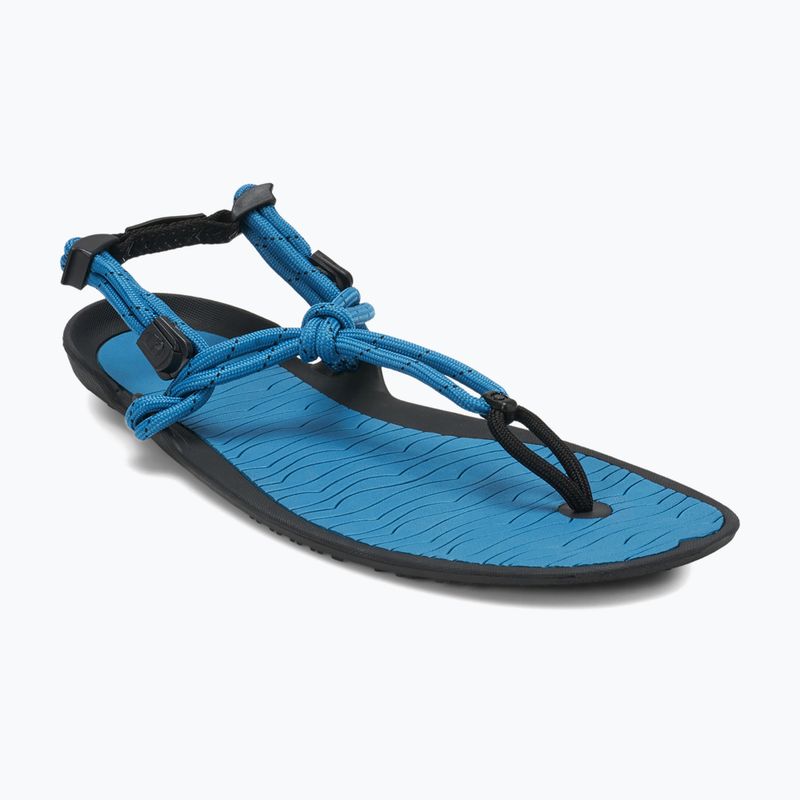 Vyriški basų kojų sandalai Xero Shoes Aqua Cloud blue/sapphire 8