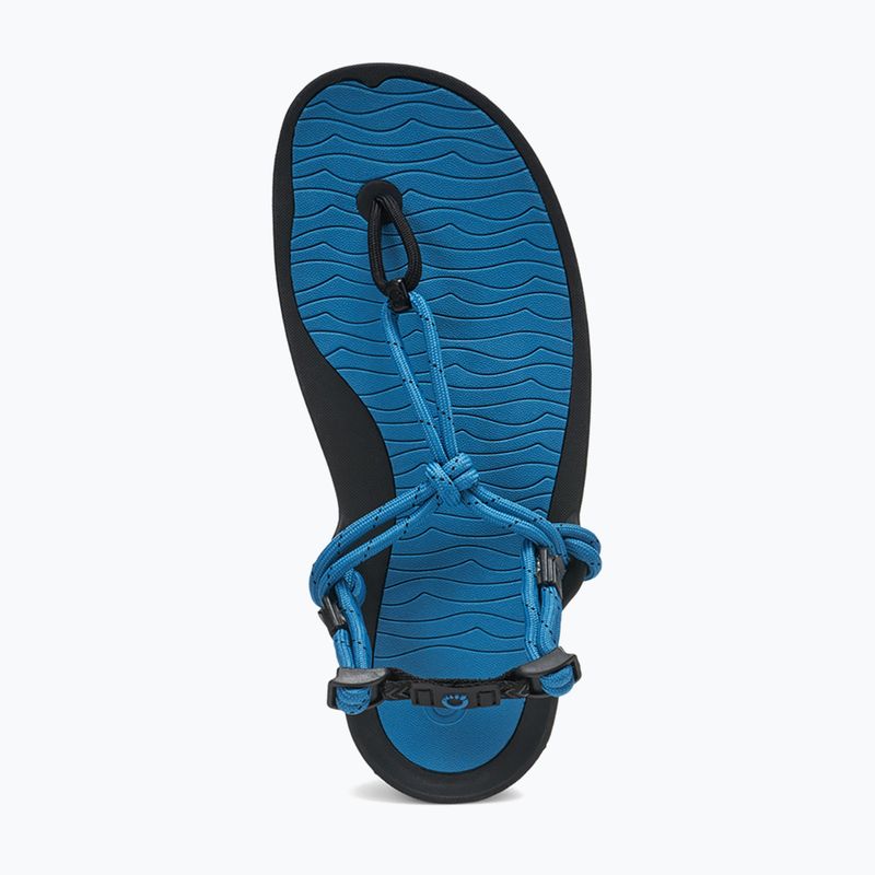 Vyriški basų kojų sandalai Xero Shoes Aqua Cloud blue/sapphire 14
