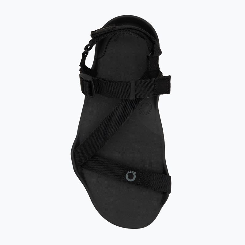 Vyriški barefoot sandalai Xero Shoes Z-Trek black 4