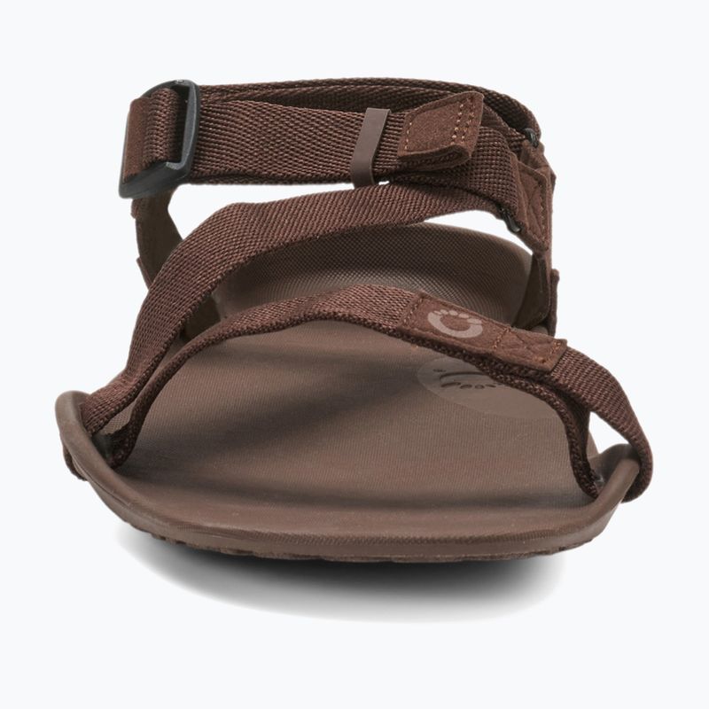 Vyriški basų kojų sandalai Xero Shoes Z-Trek brown 4