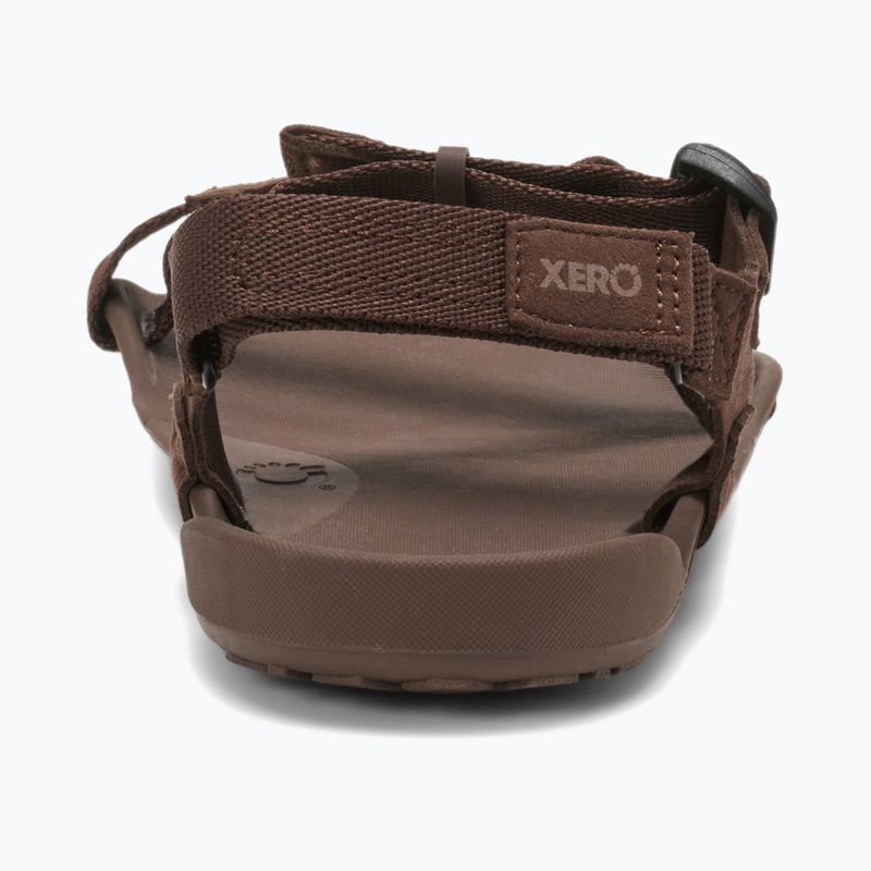 Vyriški basų kojų sandalai Xero Shoes Z-Trek brown 5