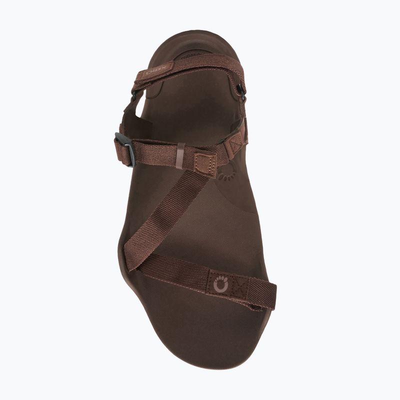 Vyriški basų kojų sandalai Xero Shoes Z-Trek brown 7
