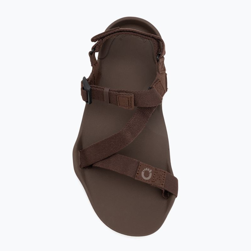 Vyriški basų kojų sandalai Xero Shoes Z-Trek brown 5