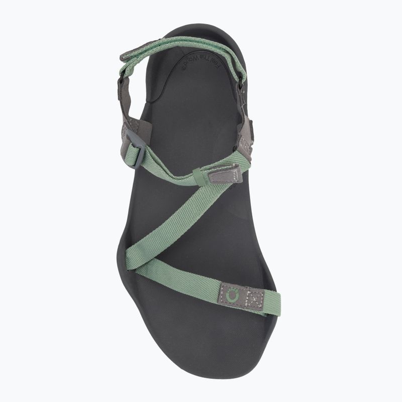 Moteriški barefoot sandalai Xero Shoes Z-Trek green 5