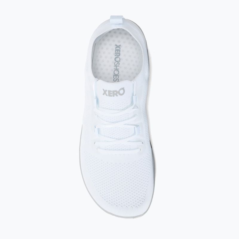 Vyriški batai basomis Xero Shoes Nexus Knit white 7