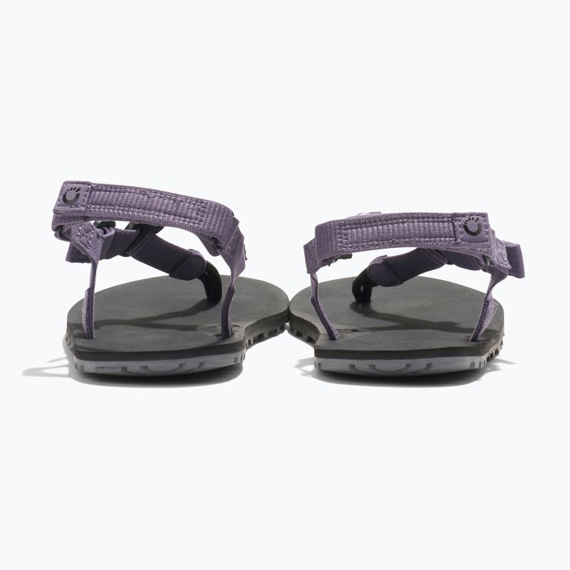 Moteriški barefoot sandalai Xero Shoes H-Trail sage purple 5