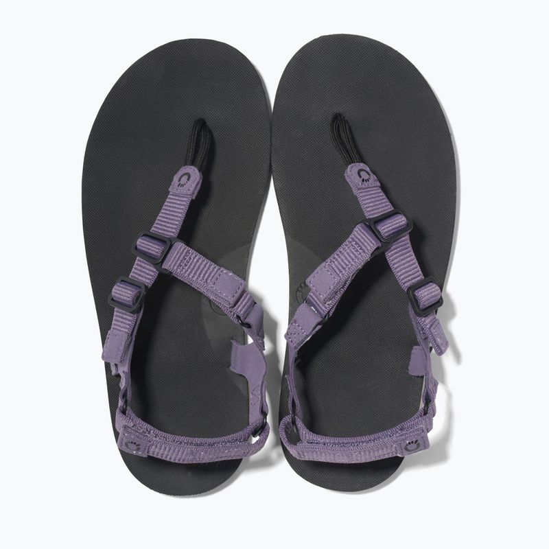 Moteriški barefoot sandalai Xero Shoes H-Trail sage purple 6
