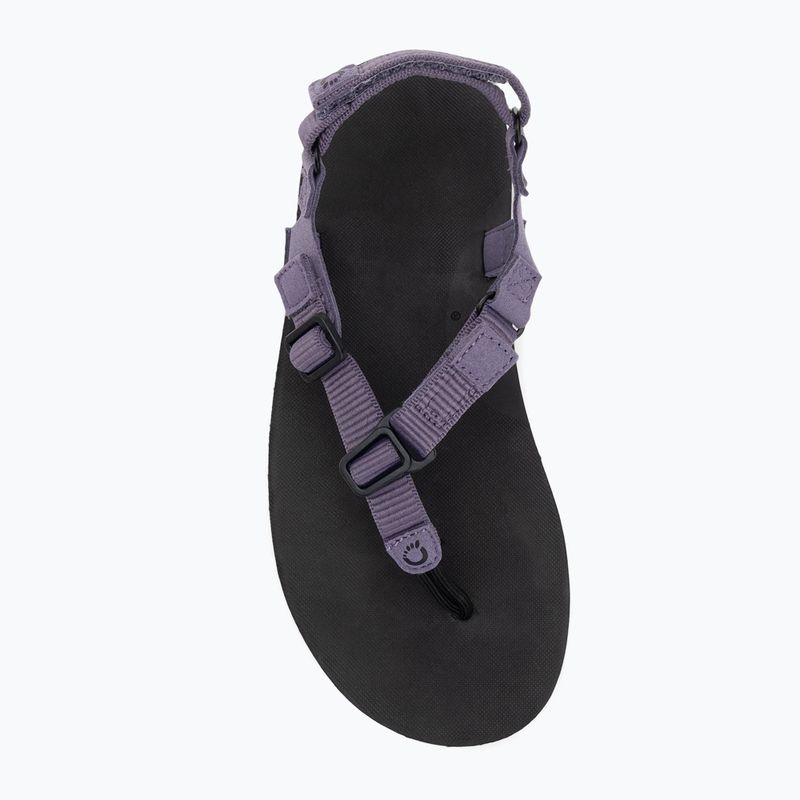 Moteriški barefoot sandalai Xero Shoes H-Trail sage purple 5