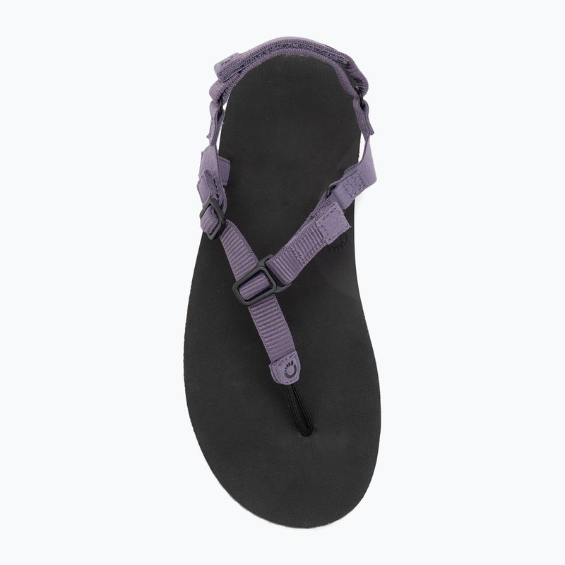 Moteriški basų kojų sandalai Xero Shoes H-Trail sage purple HTW-SGPU 5
