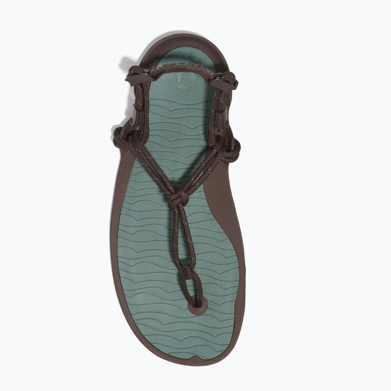 Vyriškos barefoot basutės Xero Shoes Aqua Cloud java/brown/dark/forest 5