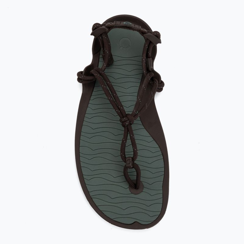 Vyriškos barefoot basutės Xero Shoes Aqua Cloud java/brown/dark/forest 5