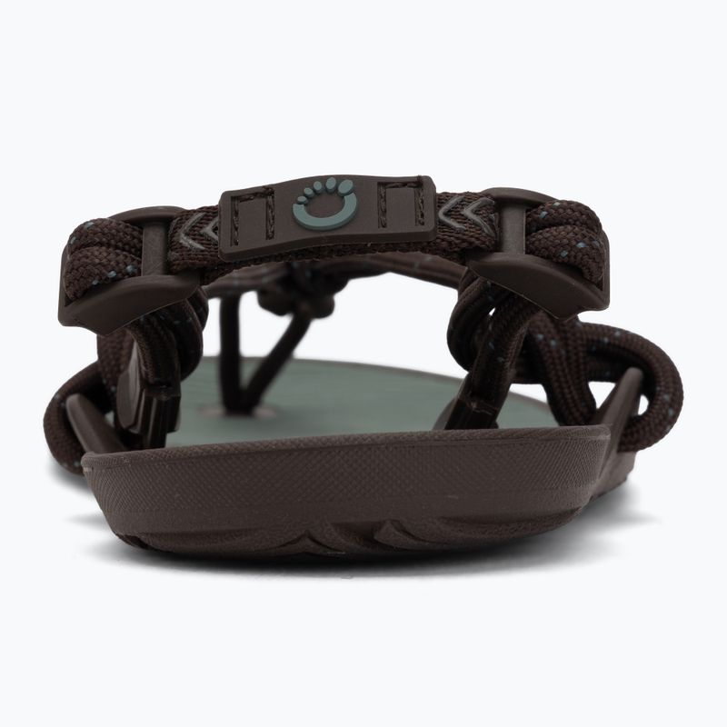 Vyriškos barefoot basutės Xero Shoes Aqua Cloud java/brown/dark/forest 6