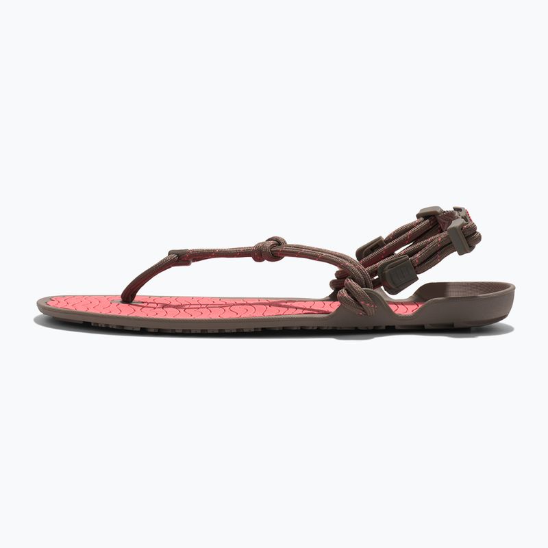 Moteriški basų kojų sandalai Xero Shoes Aqua Cloud moel/sunset coral 2