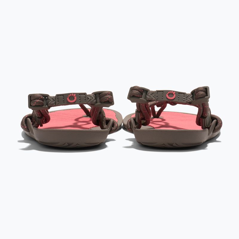 Moteriški basų kojų sandalai Xero Shoes Aqua Cloud moel/sunset coral 6