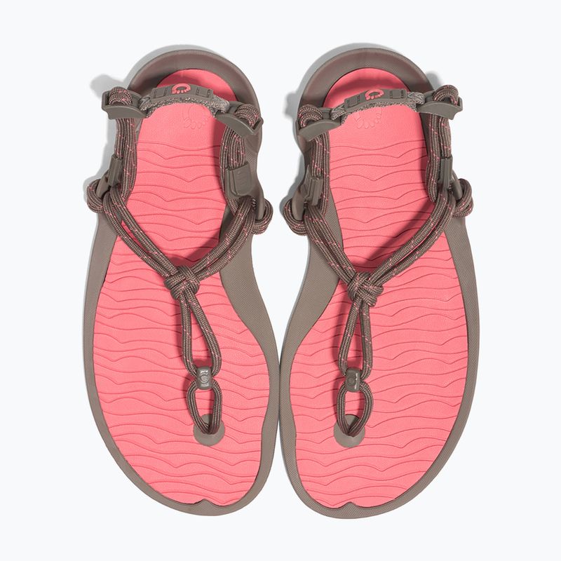 Moteriški basų kojų sandalai Xero Shoes Aqua Cloud moel/sunset coral 8