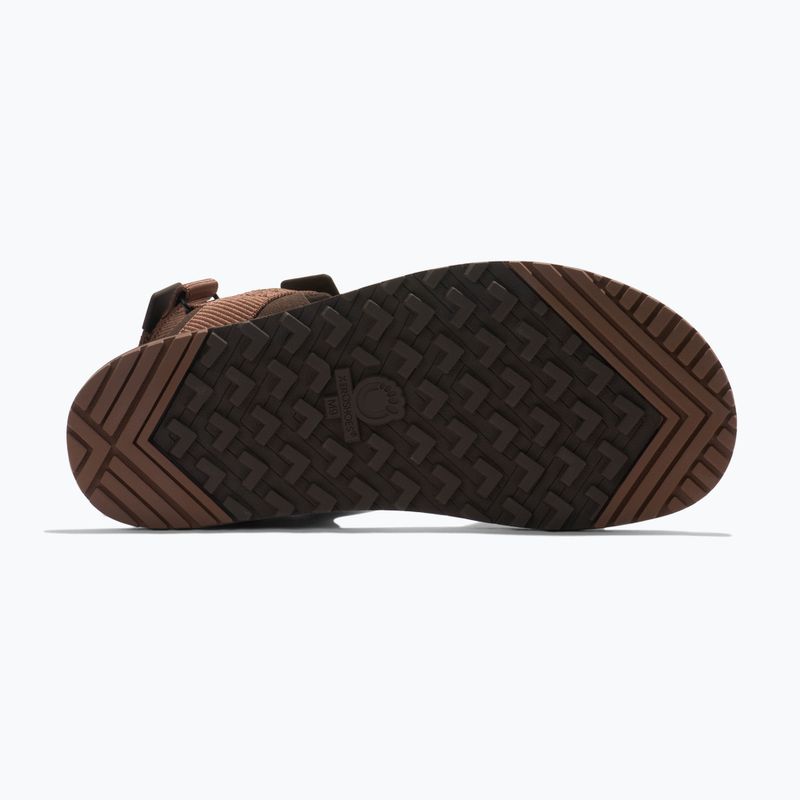 Vyriški barefoot sandalai Xero Shoes D-Trail cocoa brown/java brown 6