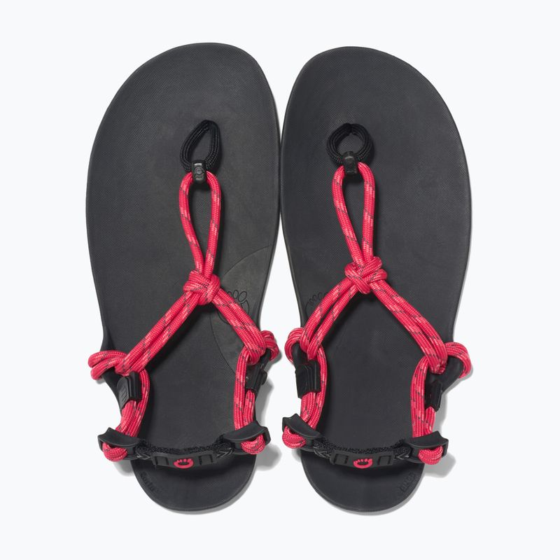 Moteriški barefoot sandalai Xero Shoes Genesis raspberry 5