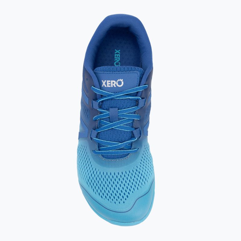 Vyriški barefoot batai Xero Shoes HFS II blue / Iolite / aquarius / gradient 5