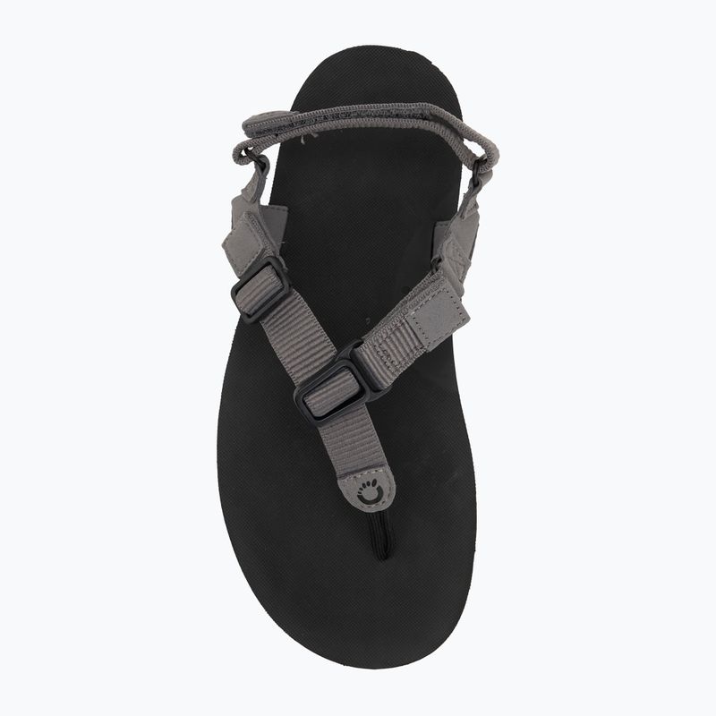 Vyriški basų kojų sandalai Xero Shoes H-Trail steel gray/blue/lolite 5