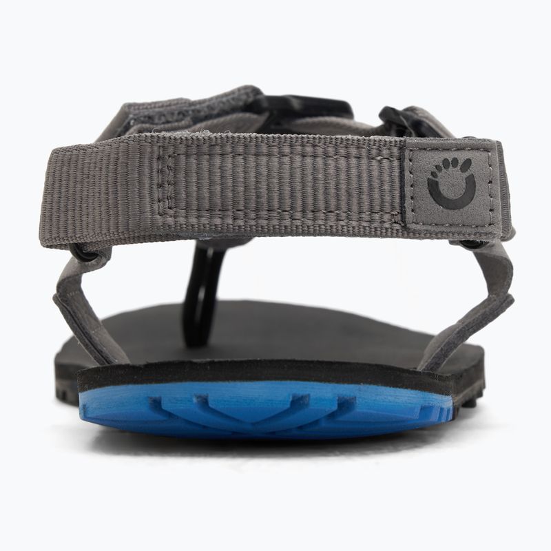 Vyriški basų kojų sandalai Xero Shoes H-Trail steel gray/blue/lolite 6