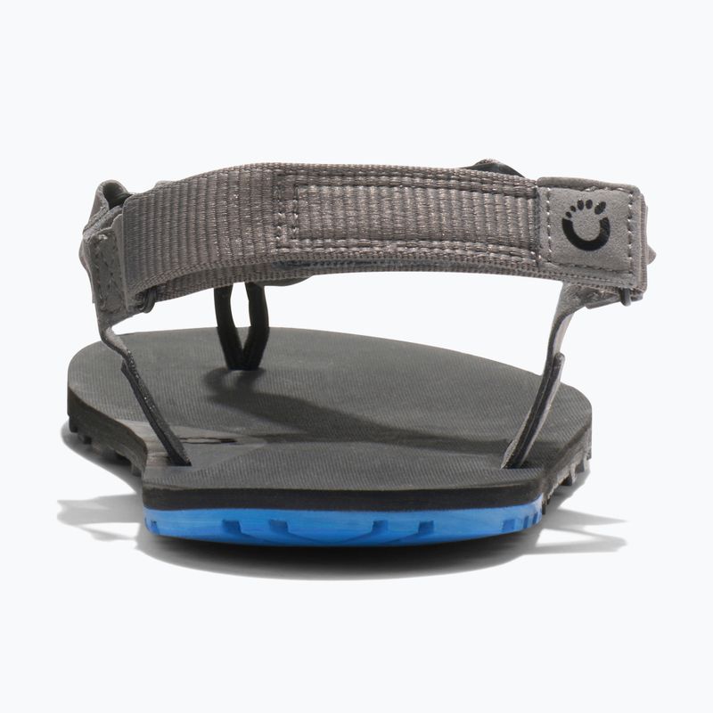 Vyriški basų kojų sandalai Xero Shoes H-Trail steel gray/blue/lolite 12