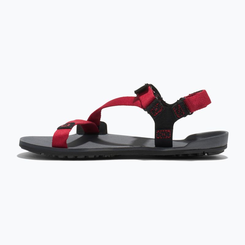 Vaikiški barefoot sandalai Xero Shoes Z-Trail charcoal/red pepper 2