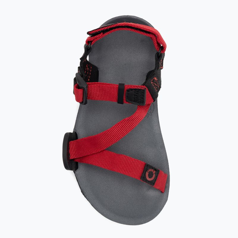 Vaikiški barefoot sandalai Xero Shoes Z-Trail charcoal/red pepper 5