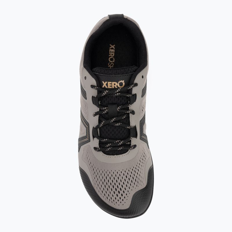 Vyriški barefoot batai Xero Shoes Mesa Trail II fallen / rock / black 5