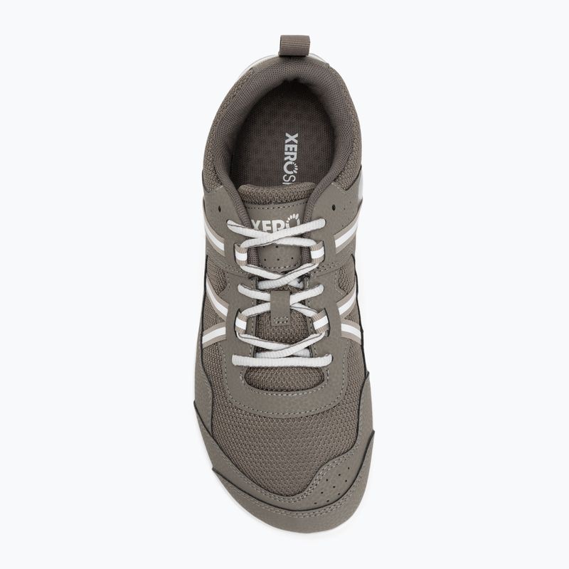 Vyriški barefoot batai Xero Shoes Prio fallen / rock 5