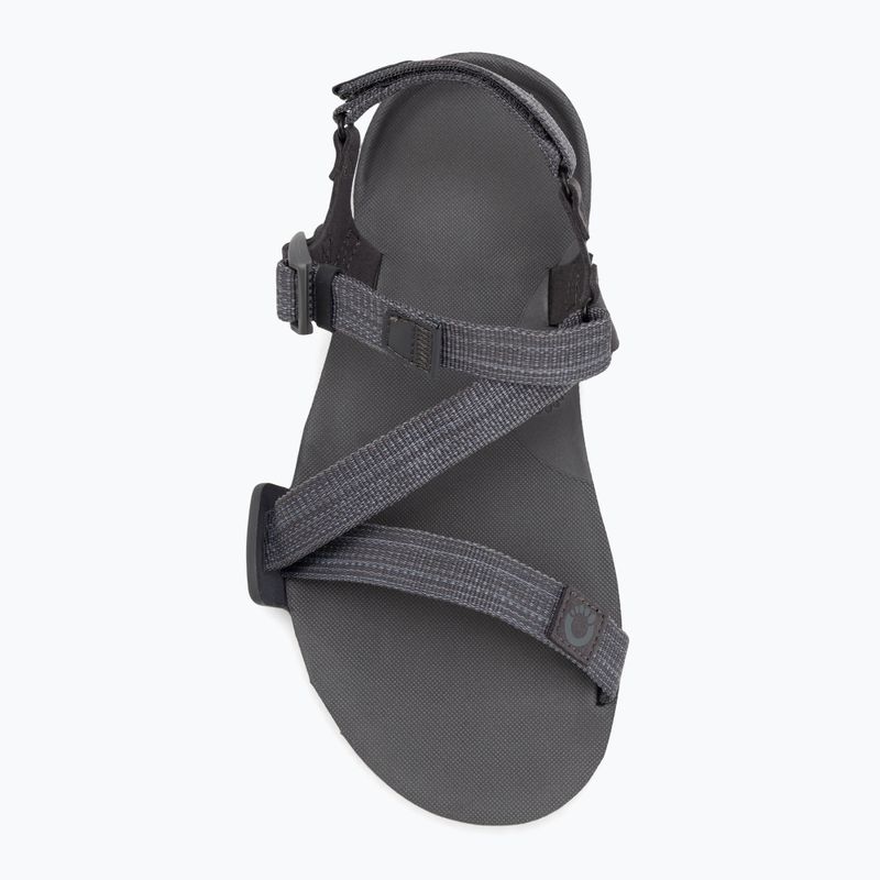 Vyriški basų kojų sandalai Xero Shoes Z-Trail EV steel gray/asphalt 5