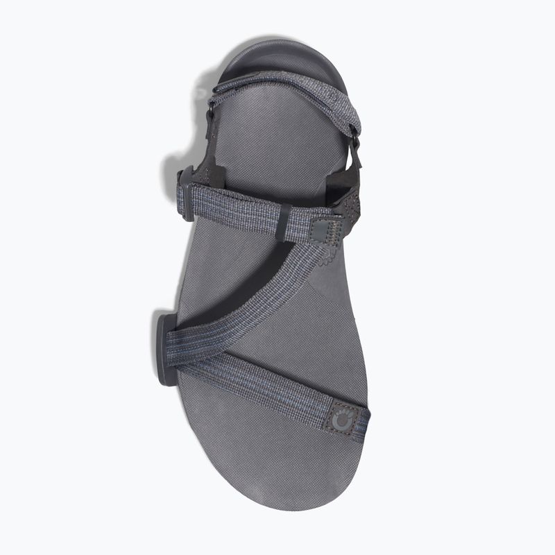 Vyriški basų kojų sandalai Xero Shoes Z-Trail EV steel gray/asphalt 9