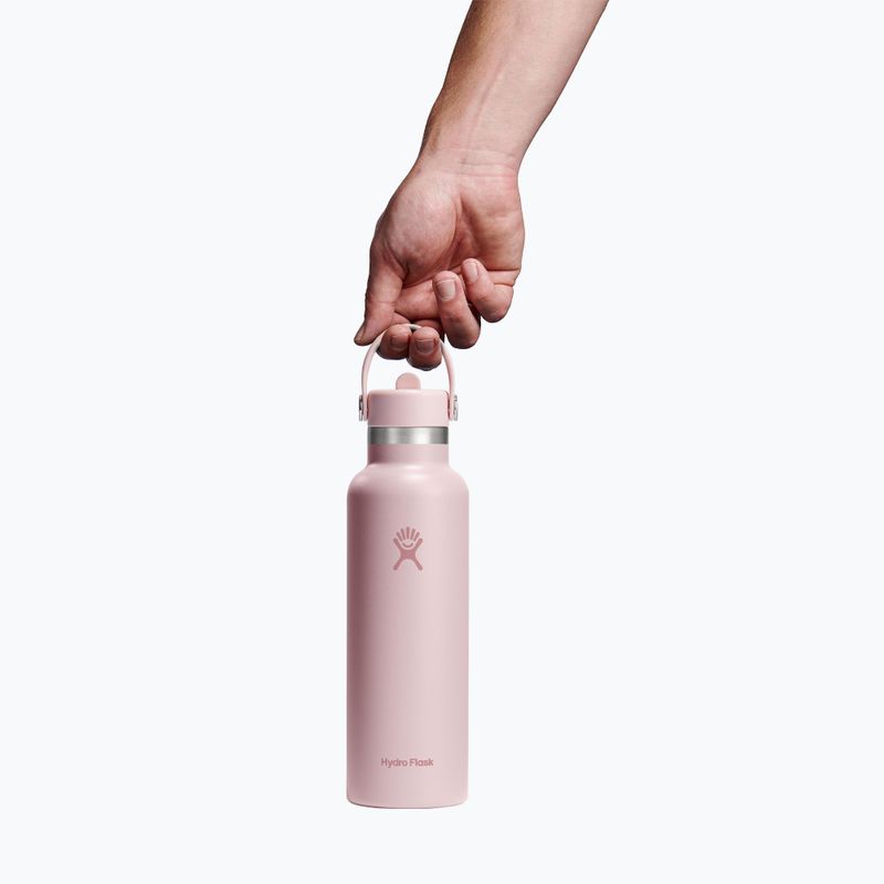 Termo gertuvė Hydro Flask Standard Flex 621 ml Trillium 3