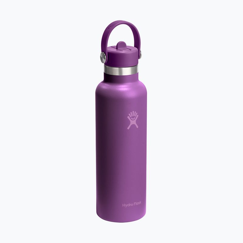 Terminis butelis Hydro Flask Standard Flex Straw 620 ml beachplum 2