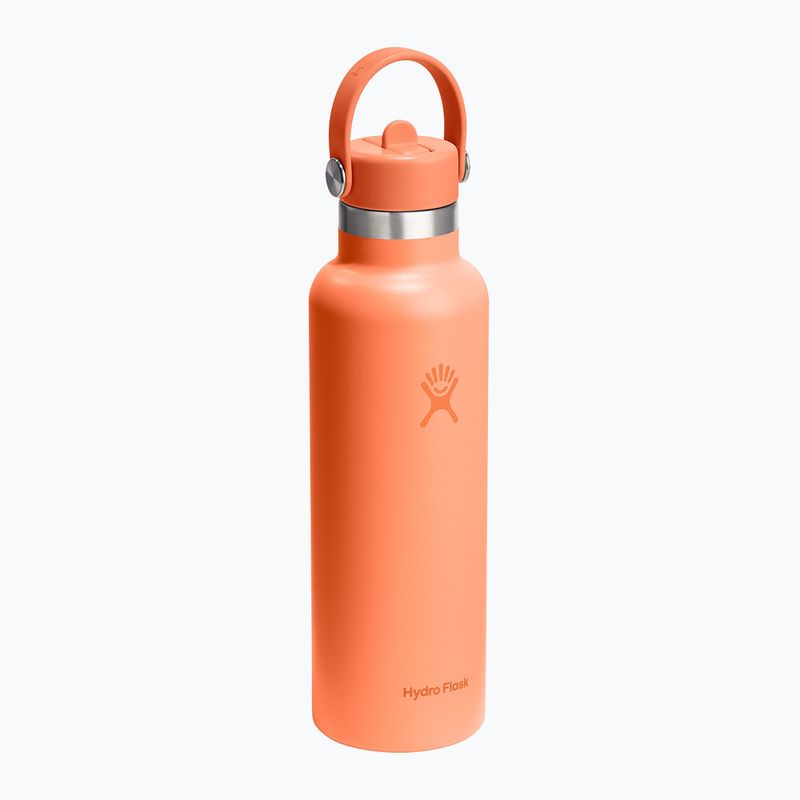 Terminis butelis Hydro Flask Standard Flex Straw 620 ml nectar 2